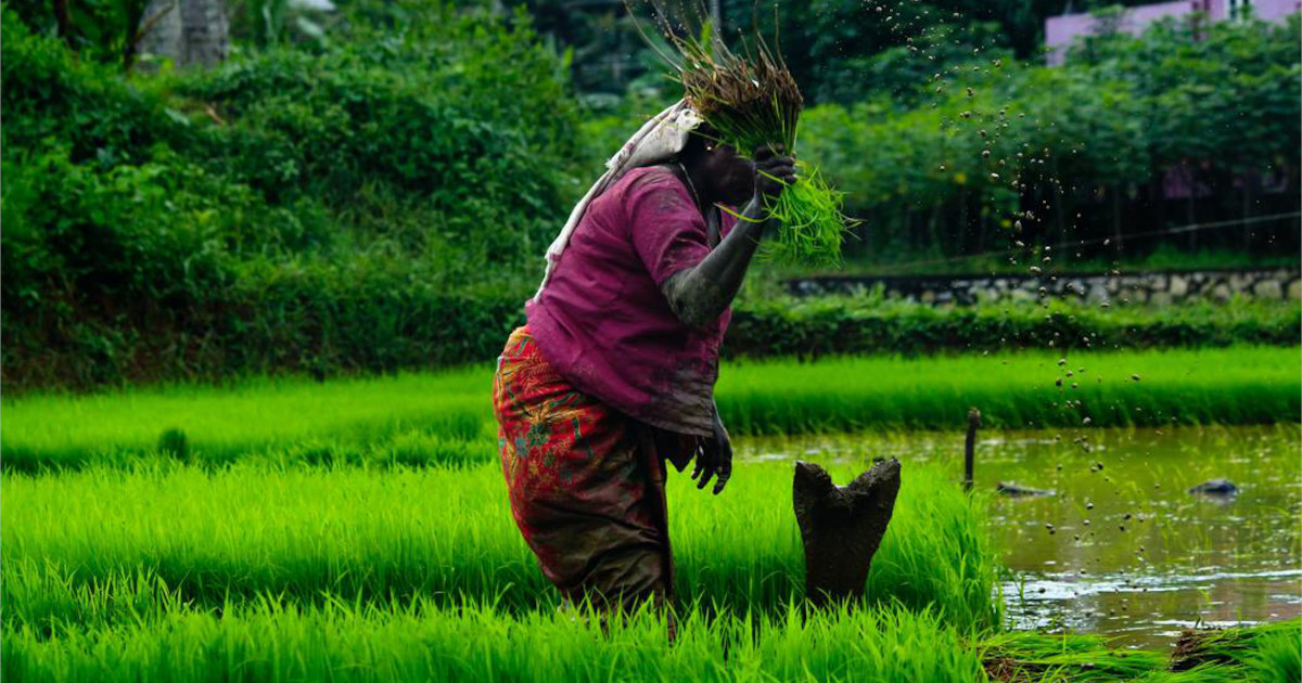 HomeGeneralThe art and science of balancing people, planet and profits